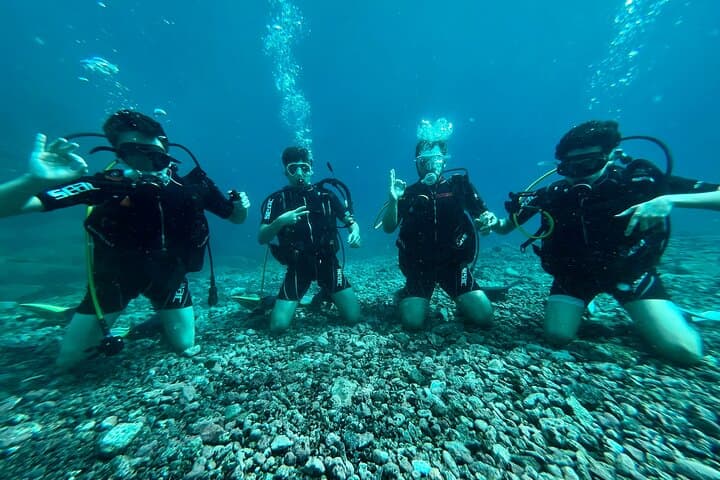Curso privado de 1ª licencia de buceo en Tenerife - 6