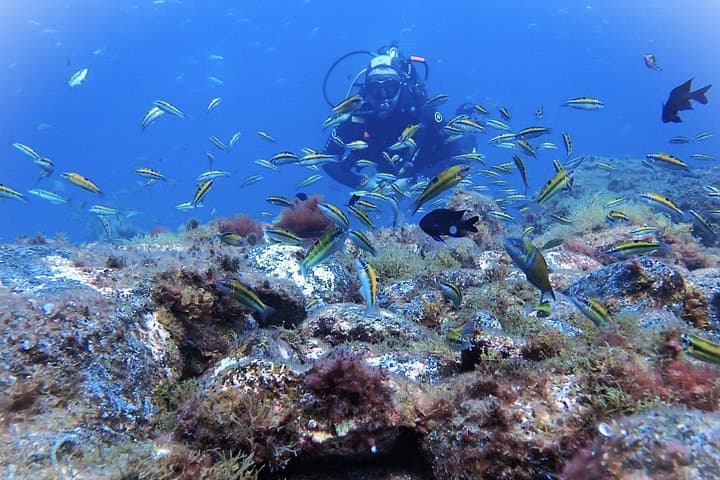 Buceo en Tenerife. Buceadores felices bajo el agua - 3