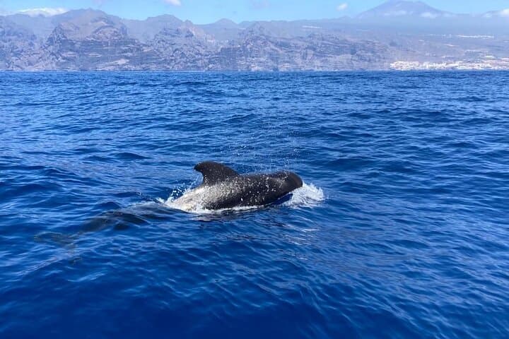 sailing de ocean - 6