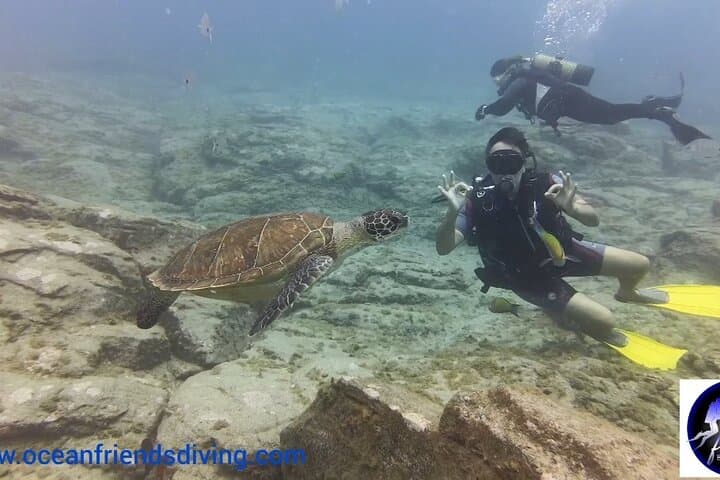 Curso Discover Scuba (buceo introductorio) - 8