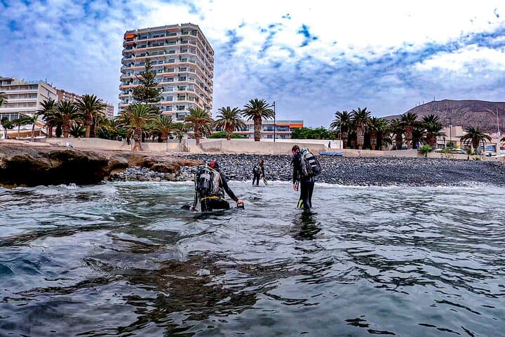 Buceo divertido - 6