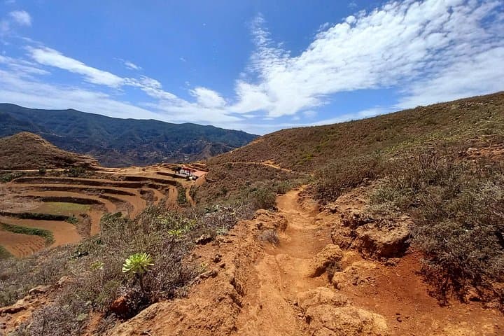 Increíble Anaga : Tour de senderismo en grupos pequeños (12km) en Tenerife - 7
