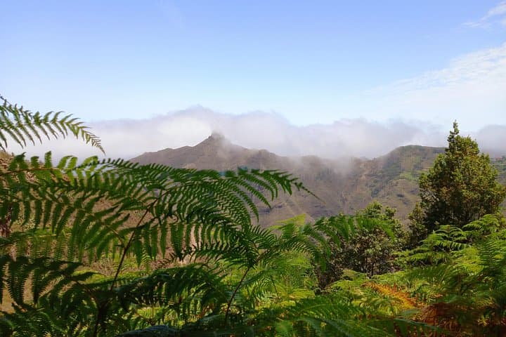 Increíble Anaga : Tour de senderismo en grupos pequeños (12km) en Tenerife - 1