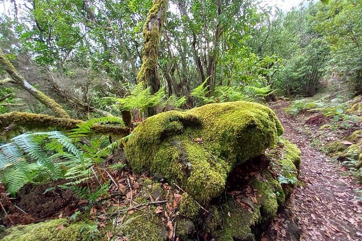 La Gomera al fondo. - 4