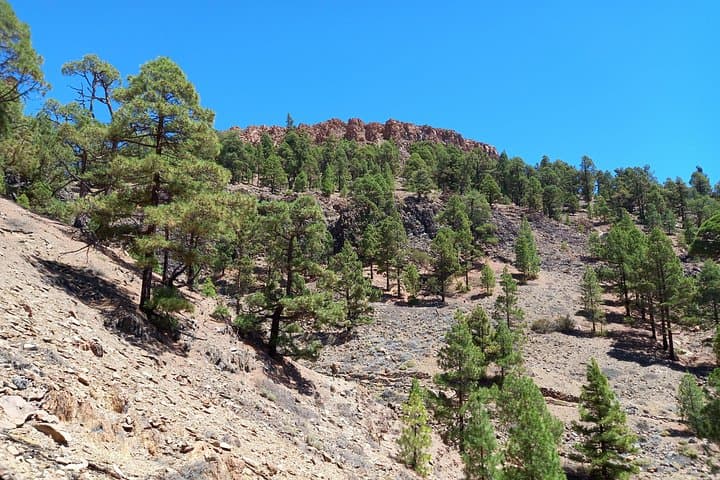 Senderismo al aire libre en Tenerife - 6
