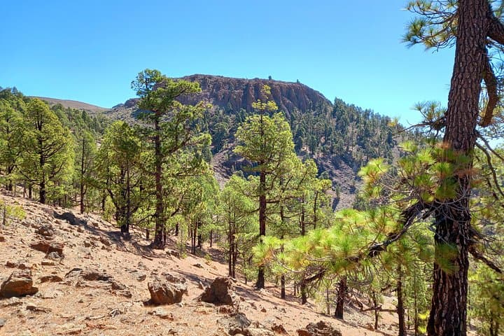 Senderismo al aire libre en Tenerife - 7