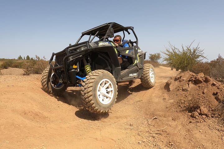 TOUR EN BUGGY VOLCÁN TEIDE con degustación de vinos - 8
