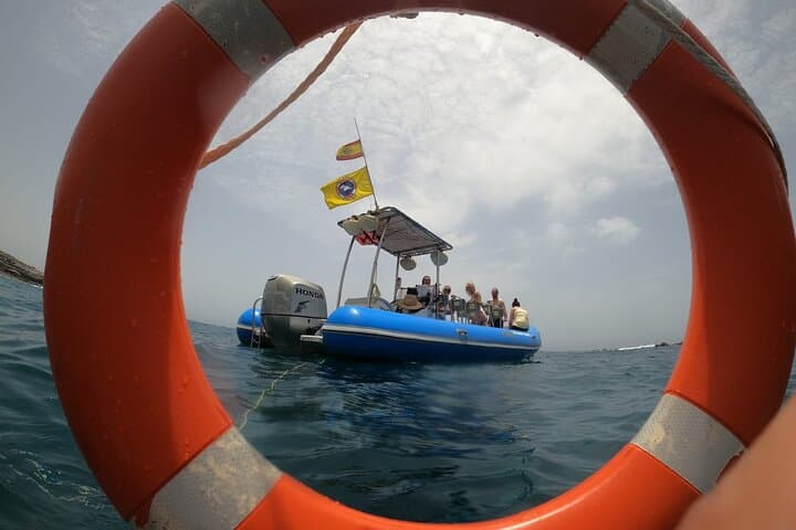 SEA SAFARI, delfines, ballenas, snorkel, snack, bebida, 2 h en lancha privada - 1
