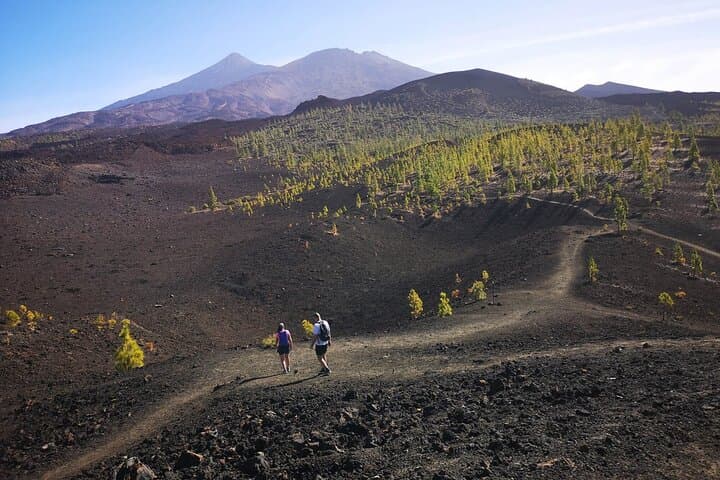 Parque Nacional del Teide - 4