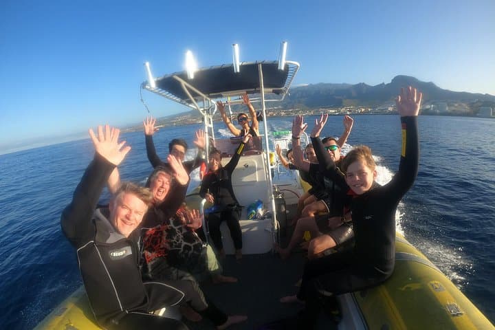 Tour de Snorkel en Tenerife en Hábitat de Tortugas - 8