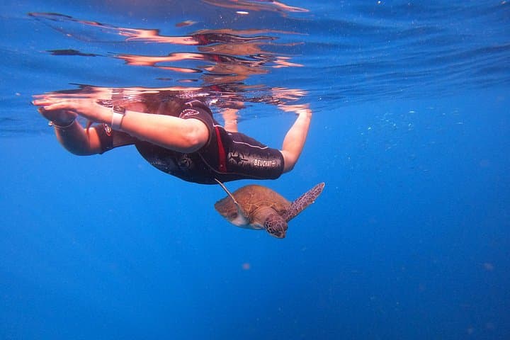 Tour de Snorkel en Tenerife en Hábitat de Tortugas - 4