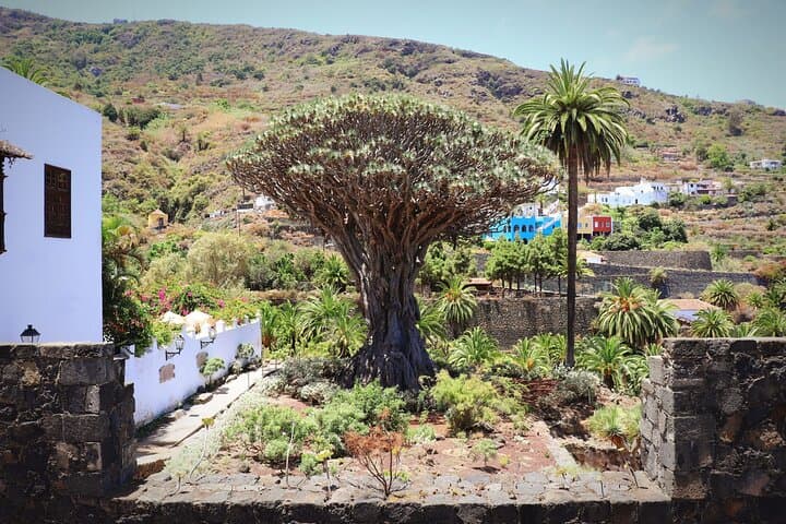 Parque Nacional del Teide - 6