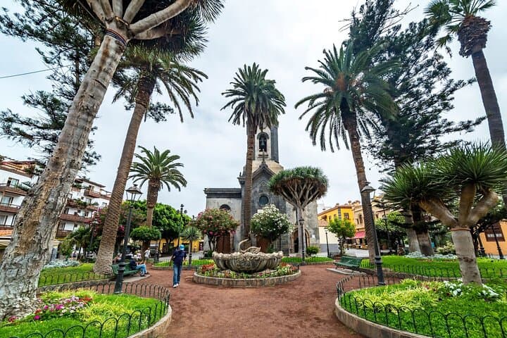 Recorrido de día completo por lo más destacado de Tenerife con almuerzo - 2