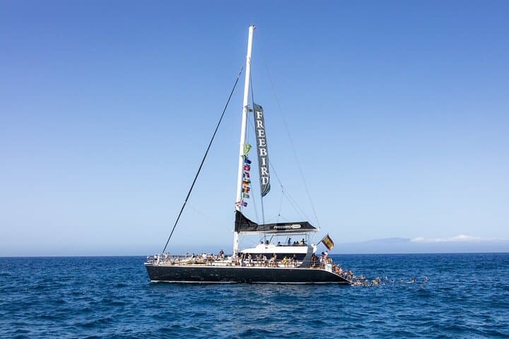 Solo Adultos Tenerife Freebird Ballena Delfín Catamarán con Almuerzo - 1
