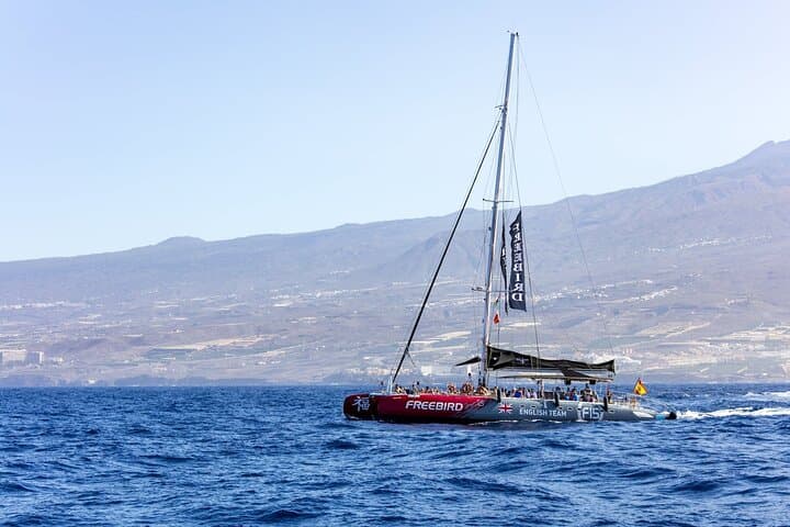Solo Adultos Tenerife Freebird Ballena Delfín Catamarán con Almuerzo - 3