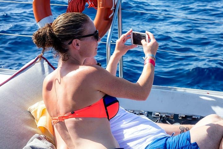 Exclusivo Freebird Catamaran Whale & Dolphin a Masca desde el sur - 4