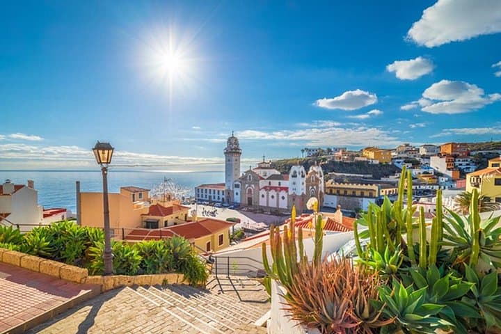Increíble tour privado a pie “Los mejores lugares de Tenerife” - 5