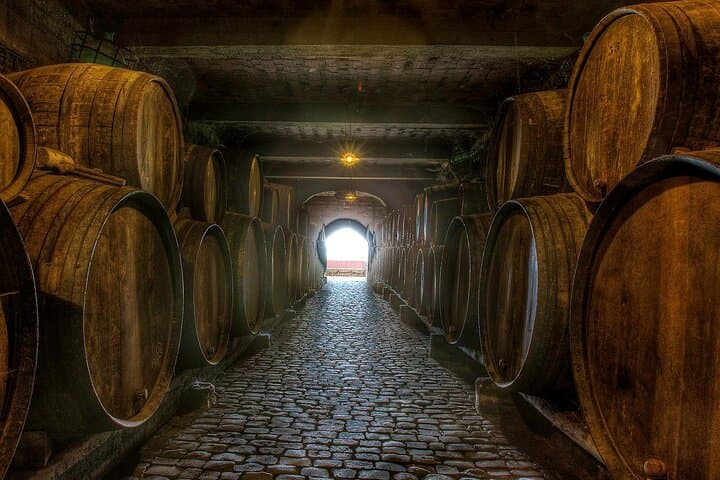 Sabores de Tenerife : Taller de Mojo, Cata de Vinos y Tour de Bodegas - 8