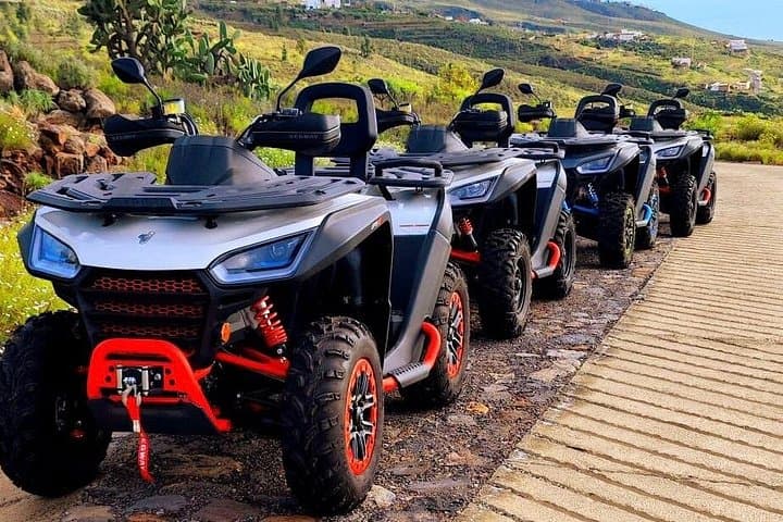 Excursión en quad Monster Quad en grupo reducido al Teide desde Tenerife - 1