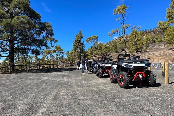 Excursión en quad Monster Quad en grupo reducido al Teide desde Tenerife - 2