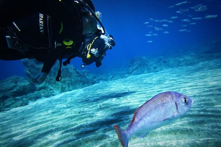 Buceo privado en Tenerife: instructor certificado y fotos. - 5