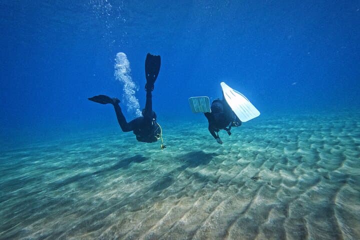 Buceo privado en Tenerife: instructor certificado y fotos. - 6