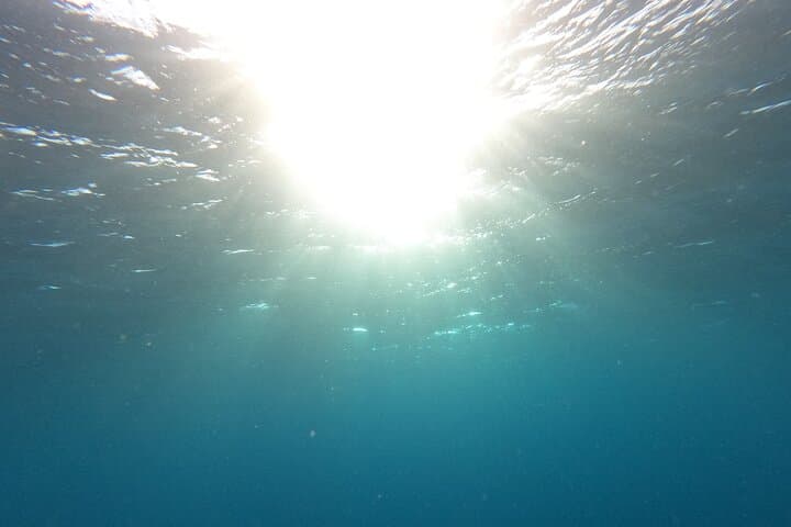 Buceo privado en Tenerife: instructor certificado y fotos. - 8