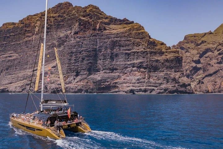 Exclusivo Freebird Catamaran Whale & Dolphin a Masca desde el norte - 7