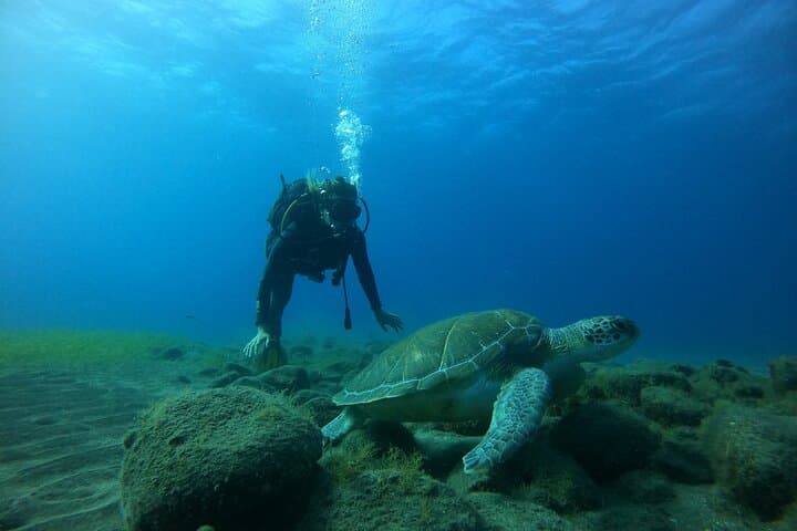 Prueba el Buceo en la Playa de Las Vistas - 3