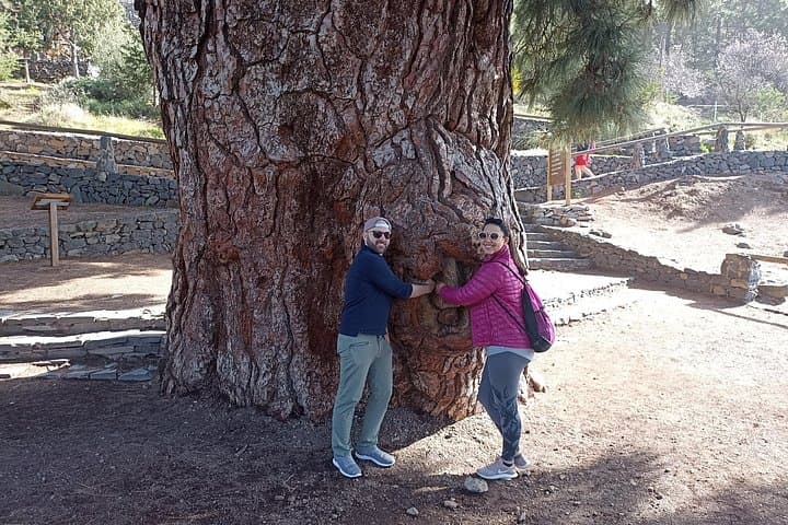 Tour privado personalizado por el volcán Tenerife - fotos incluidas - 8
