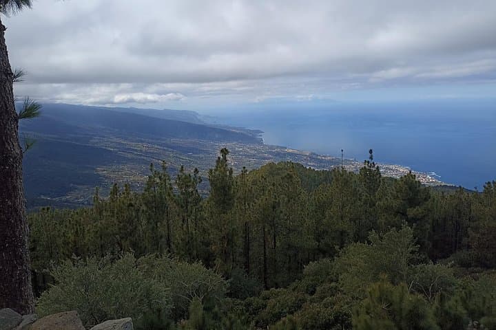 Tour privado personalizado por el volcán Tenerife - fotos incluidas - 4