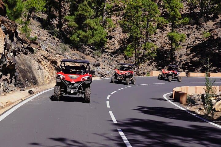 Tour en Buggy al Teide en Tenerife - 5