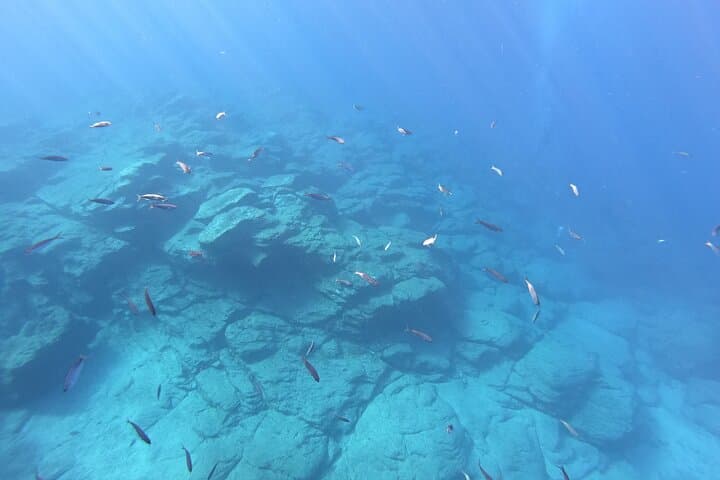 Paseo de Barco para visitar Lenguas de Lava Marinas - 8