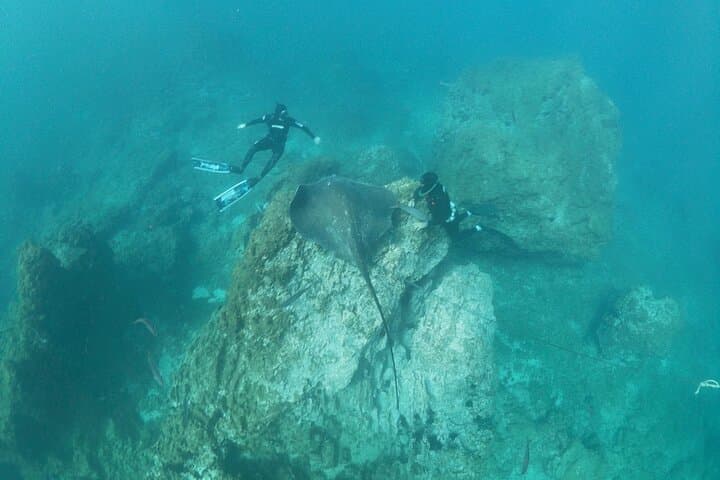 Excursión de Snorkel en la Zona de las Rayas y de las Tortugas - 8