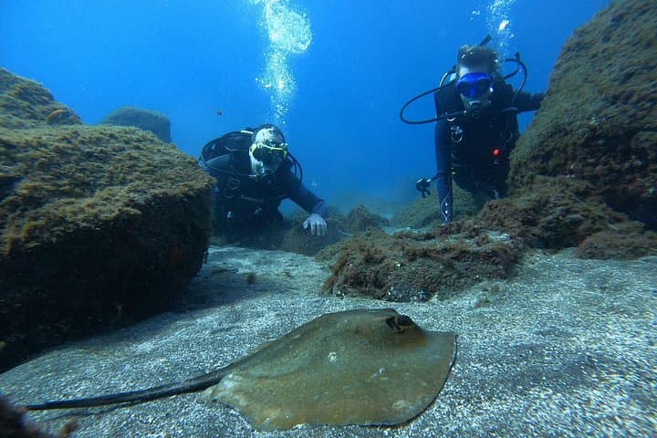 Bautizo de Buceo en Tenerife - 4