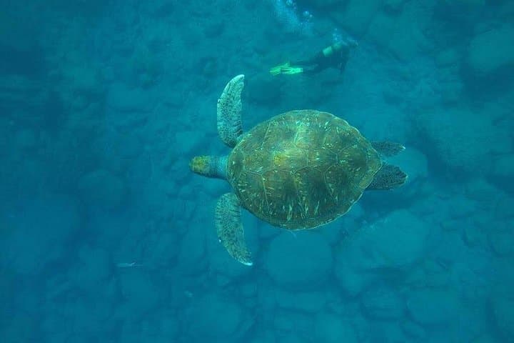 Bautizo de Buceo en Tenerife - 5