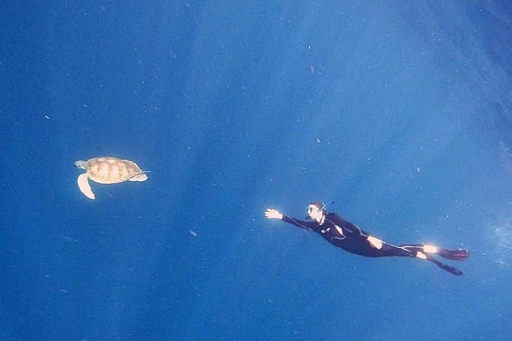 Excursión de Snorkel en la Zona de las Rayas y de las Tortugas - 4