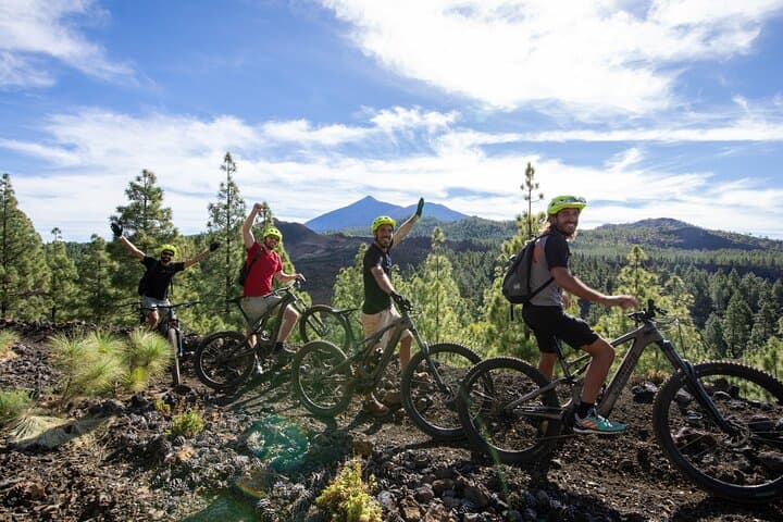 Tenerife : Parque Nacional del Teide Aventura en bicicleta - 3
