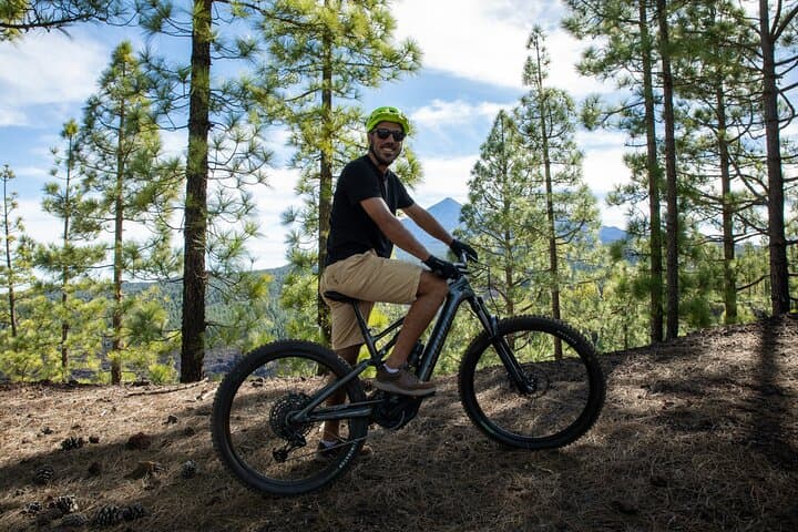 Tenerife : Parque Nacional del Teide Aventura en bicicleta - 4