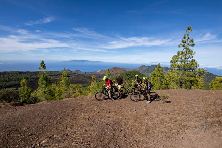 Tenerife : Parque Nacional del Teide Aventura en bicicleta - 6