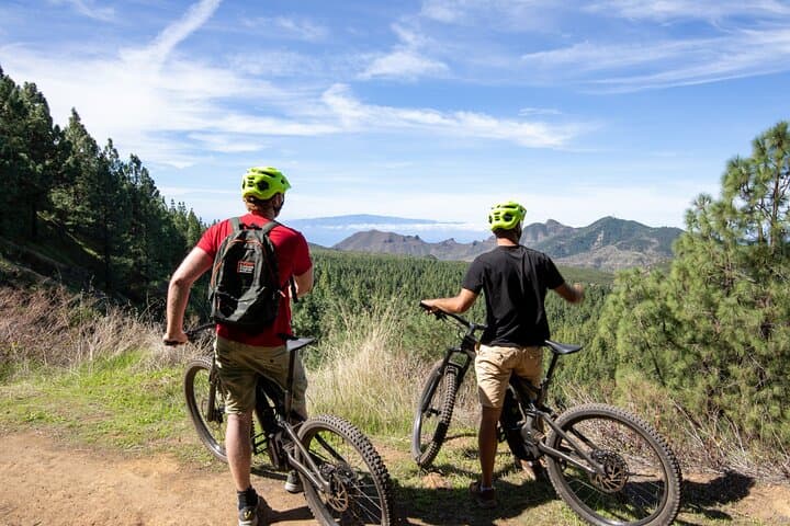 Tenerife : Parque Nacional del Teide Aventura en bicicleta - 8