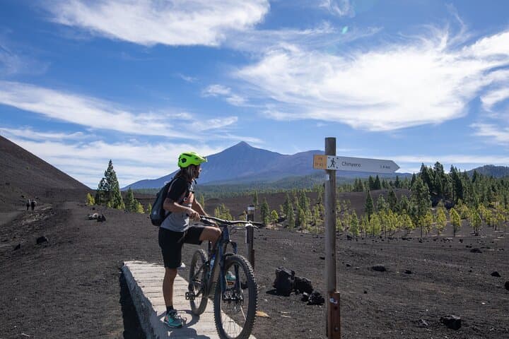 Tenerife : Parque Nacional del Teide Aventura en bicicleta - 7