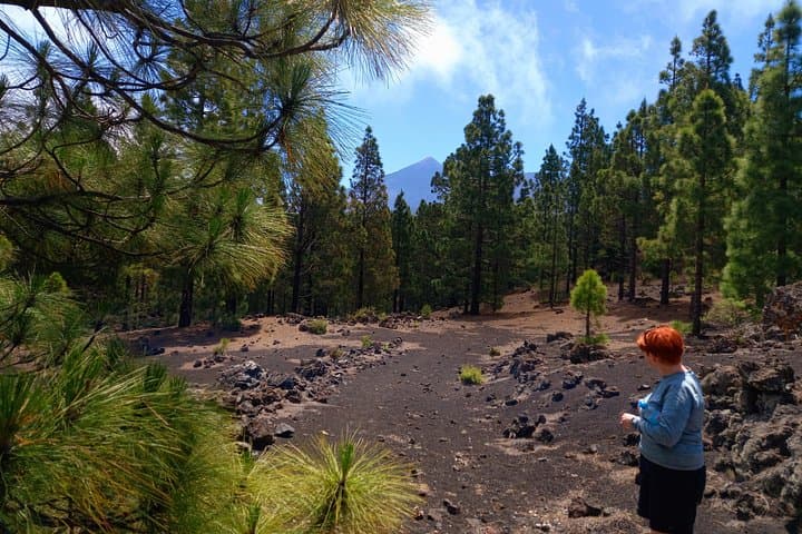 Una vista clásica del volcán y el bosque. - 5