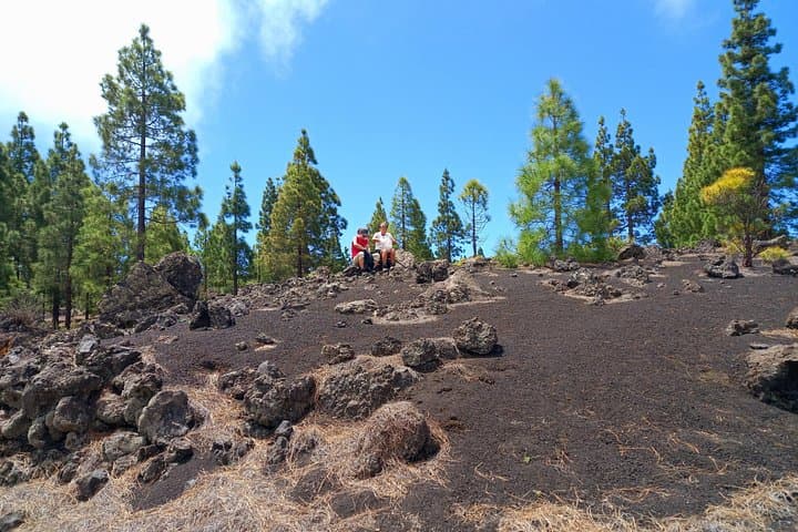 Una vista clásica del volcán y el bosque. - 6