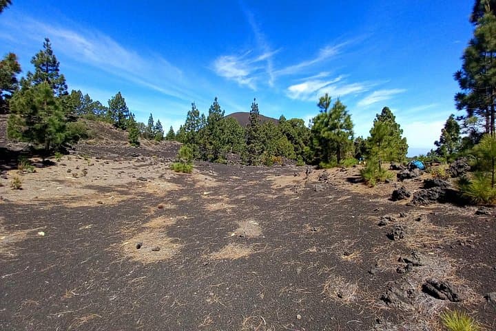 Una vista clásica del volcán y el bosque. - 8