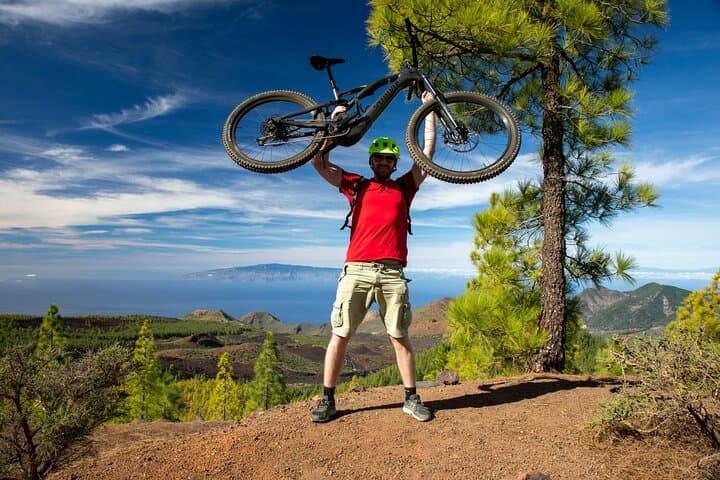 Tenerife : Parque Nacional del Teide Aventura en bicicleta - 5