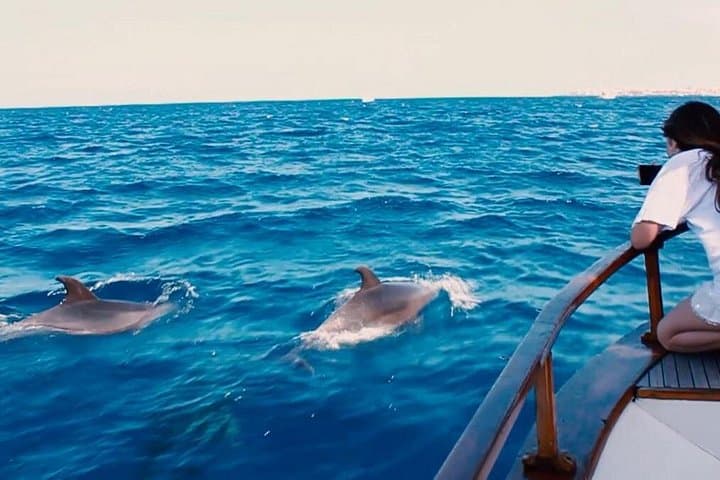 Tour Privado de 3 Horas en Barco Accesible en Islas Canarias - 8