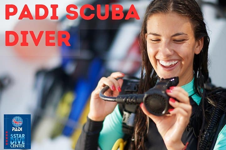 Curso de buceo PADI en Costa Adeje - 1