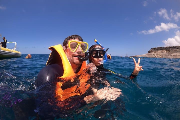 Tour de Snorkel en Tenerife en Hábitat de Tortugas - 7