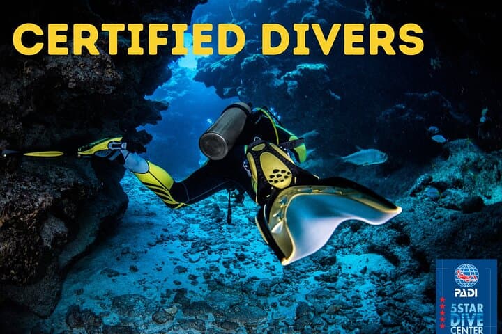 Buceo para buceadores certificados en Costa Adeje - 2